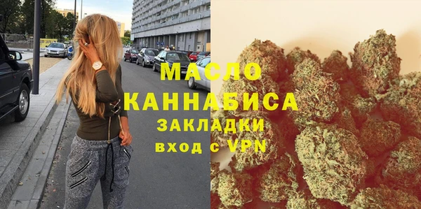 индика Богородицк