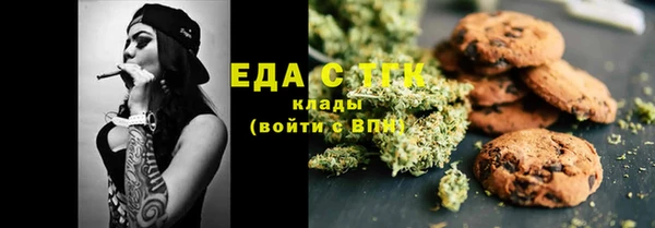 индика Богородицк