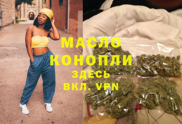 индика Богородицк