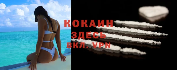 шишки Богданович