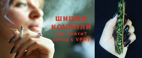 шишки Богданович