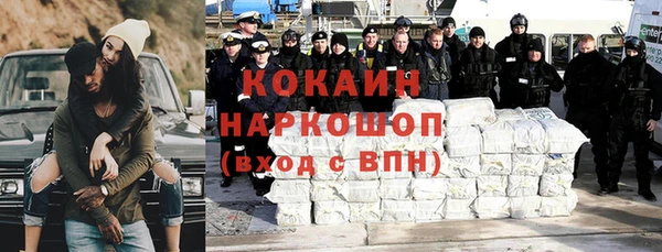 индика Богородицк