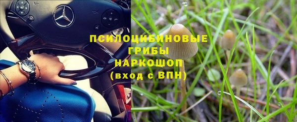 индика Богородицк