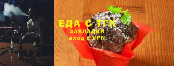 индика Богородицк